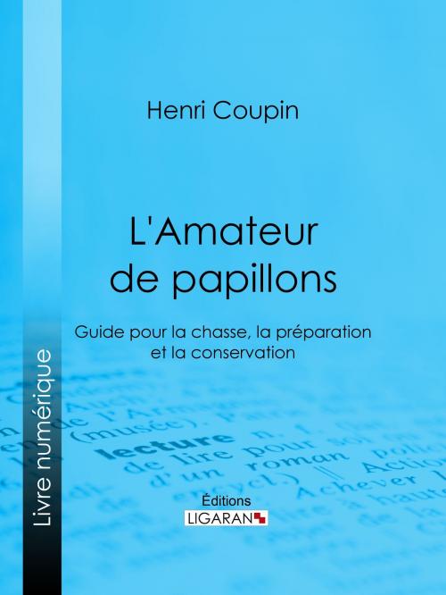 Cover of the book L'Amateur de papillons by Henri Coupin, Ligaran, Ligaran