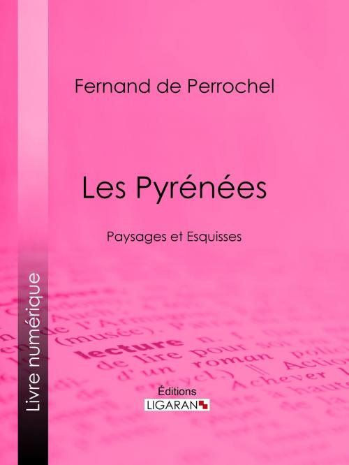 Cover of the book Les Pyrénées by Fernand de Perrochel, Ligaran, Ligaran