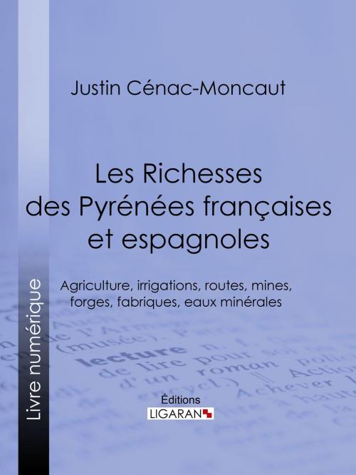 Cover of the book Les Richesses des Pyrénées françaises et espagnoles by Justin Cénac-Moncaut, Ligaran, Ligaran