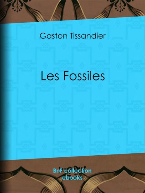 Cover of the book Les Fossiles by Collectif, Gaston Tissandier, BnF collection ebooks