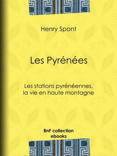 Cover of the book Les Pyrénées by Henry Spont, BnF collection ebooks