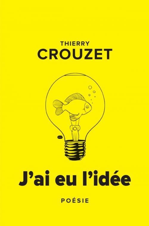 Cover of the book J'ai eu l'idée by Thierry Crouzet, Thaulk
