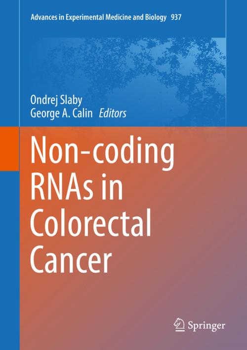 Cover of the book Non-coding RNAs in Colorectal Cancer by , Springer International Publishing