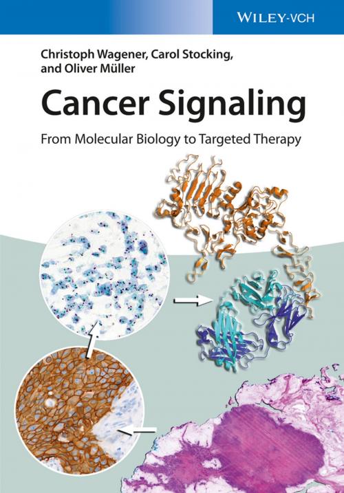 Cover of the book Cancer Signaling by Oliver Müller, Christoph Wagener, Carol Stocking, Wiley