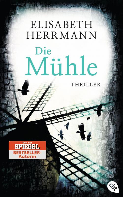 Cover of the book Die Mühle by Elisabeth Herrmann, cbj