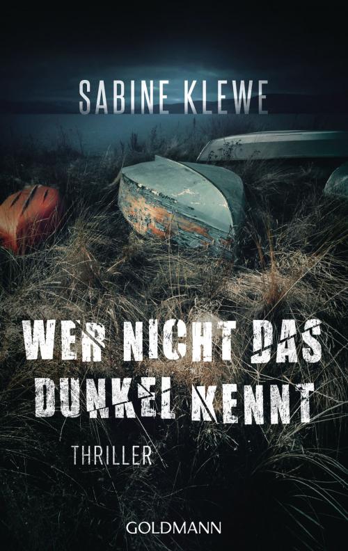 Cover of the book Wer nicht das Dunkel kennt by Sabine Klewe, Goldmann Verlag