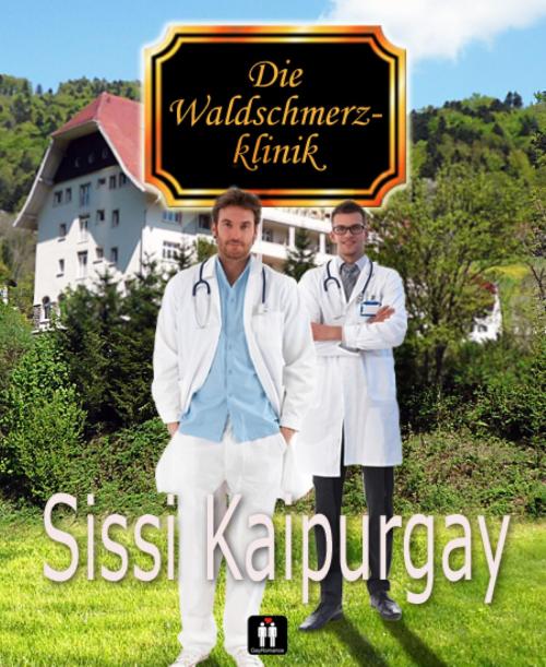 Cover of the book Die Waldschmerzklinik by Sissi Kaipurgay, BookRix