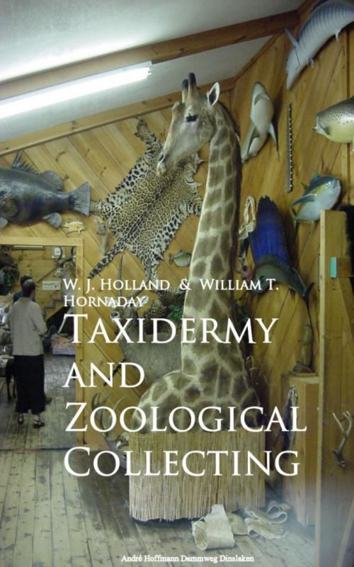Cover of the book Taxidermy and Zoological Collecting by W. J. Holland, William T. Hornaday, anboco