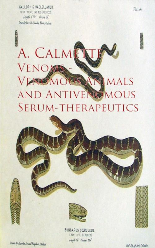 Cover of the book Venoms - Venomous Animals and Antivenomous Serum-Therapeutics by A. Calmette, anboco