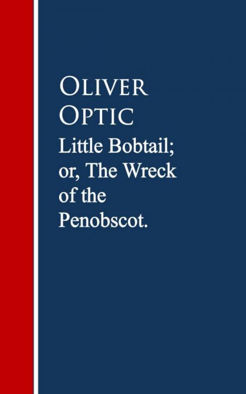 Cover of the book Little Bobtail; or, The Wreck of the Penobscot by Oliver Optic, anboco