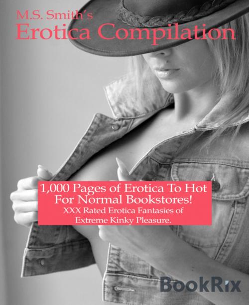 Cover of the book 1,000 Pages of Erotica Compilation by M.S. Smith, BookRix