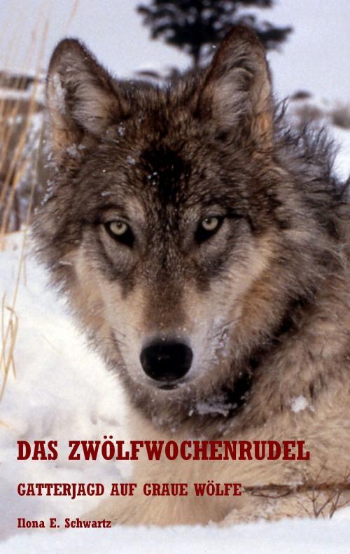 Cover of the book Das Zwölfwochenrudel by Ilona E. Schwartz, Books on Demand