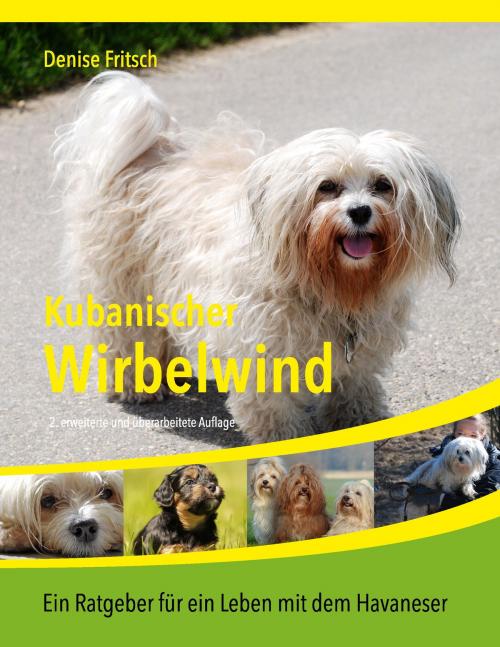 Cover of the book Kubanischer Wirbelwind by Denise Fritsch, Books on Demand