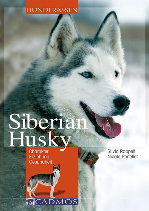 Cover of the book Siberian Husky by Silvia Roppelt, Nicole Perfeller, Cadmos Verlag
