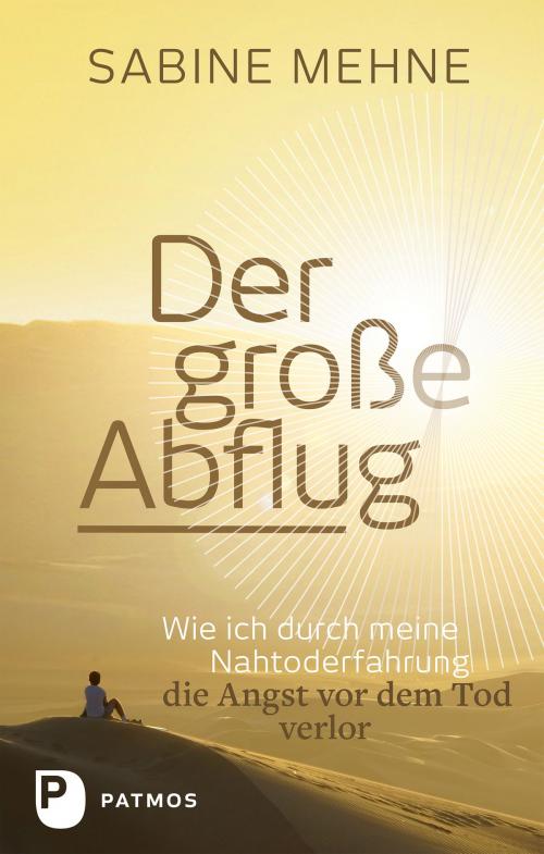 Cover of the book Der große Abflug by Sabine Mehne, Patmos Verlag