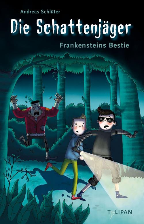 Cover of the book Die Schattenjäger - Frankensteins Bestie by Andreas Schlüter, Monika Parciak, Tulipan Verlag