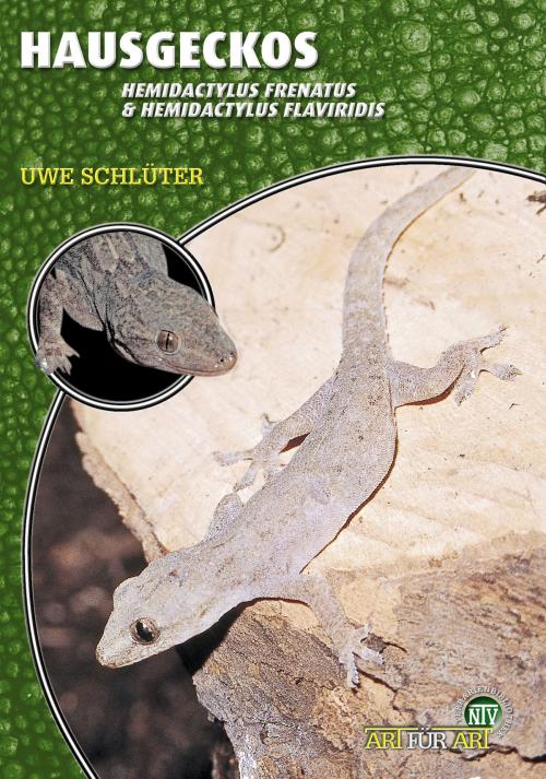 Cover of the book Hausgeckos by Uwe Schlüter, Natur und Tier - Verlag