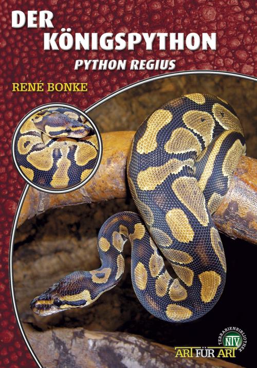 Cover of the book Der Königspython by René Bonke, Natur und Tier - Verlag