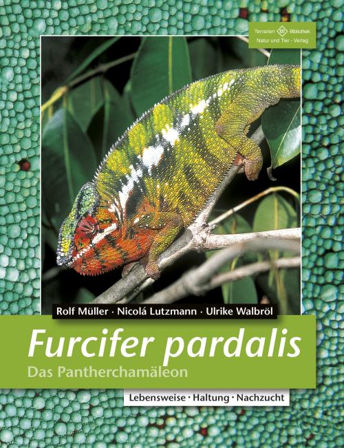 Cover of the book Furcifer pardalis by Rolf Müller, Nicolá Lutzmann, Ulrike Walbröl, Natur und Tier - Verlag