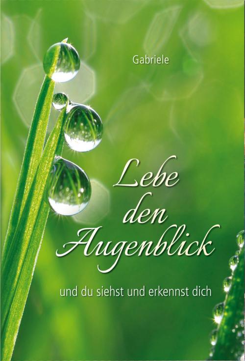 Cover of the book Lebe den Augenblick by Gabriele, Gabriele-Verlag Das Wort