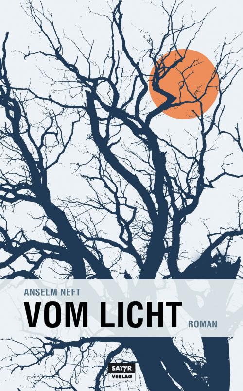 Cover of the book Vom Licht by Anselm Neft, Satyr Verlag