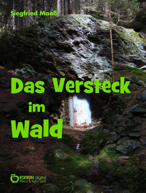 Cover of the book Das Versteck im Wald by Siegfried Maaß, EDITION digital