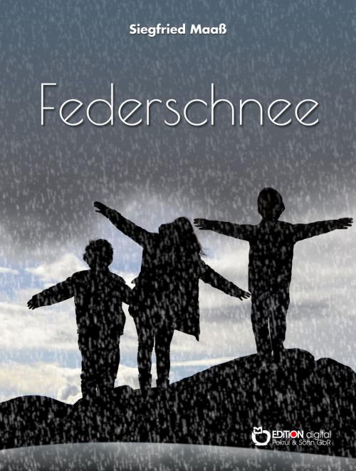 Cover of the book Federschnee by Siegfried Maaß, EDITION digital