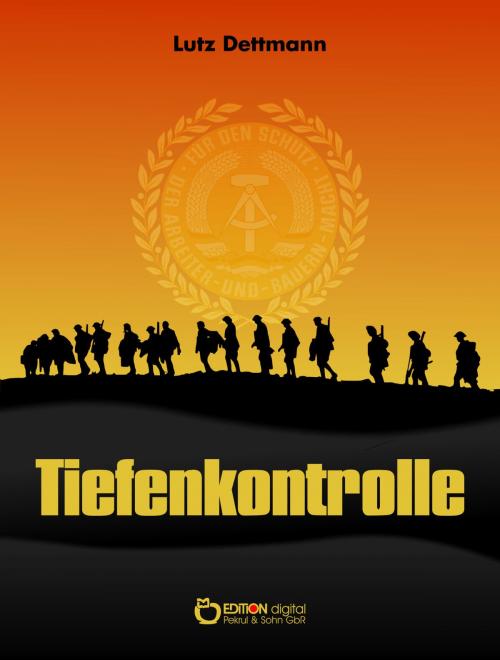 Cover of the book Tiefenkontrolle by Lutz Dettmann, EDITION digital