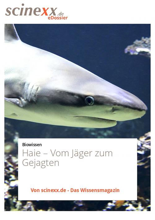 Cover of the book Haie by Dieter Lohmann, YOUPublish