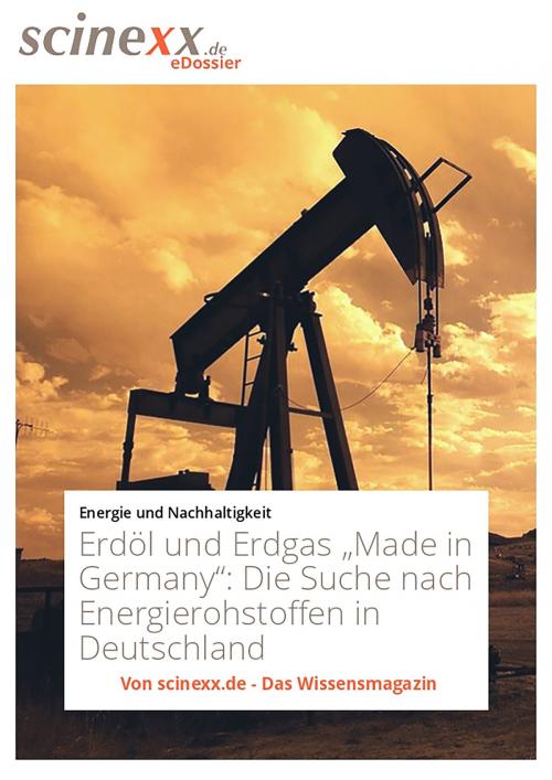 Cover of the book Erdöl und Erdgas "Made in Germany" by Dieter Lohmann, YOUPublish