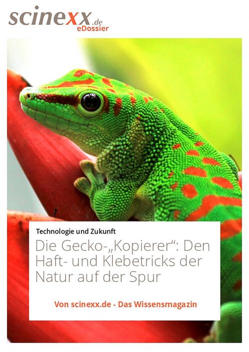 Cover of the book Die Gecko-"Kopierer" by Nadja Podbregar, YOUPublish