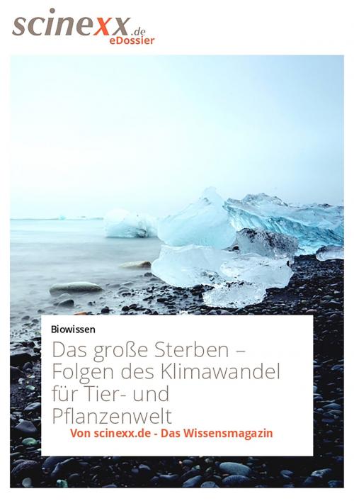 Cover of the book Das große Sterben by Nadja Podbregar, YOUPublish