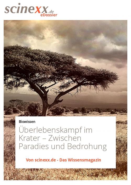 Cover of the book Überlebenskampf im Krater by Dieter Lohmann, YOUPublish