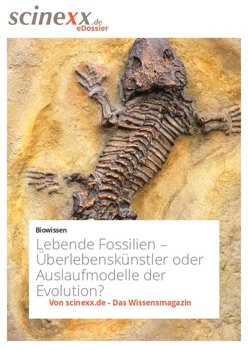 Cover of the book Lebende Fossilien by Dieter Lohmann, YOUPublish