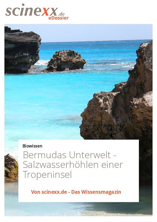 Cover of the book Bermudas Unterwelt by Nadja Podbregar, YOUPublish