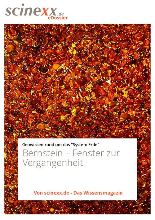 Cover of the book Bernstein by Edda Schlager, YOUPublish