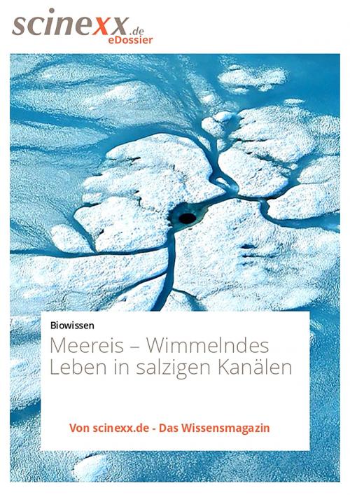 Cover of the book Meereis by Roman Jowanowitsch, YOUPublish