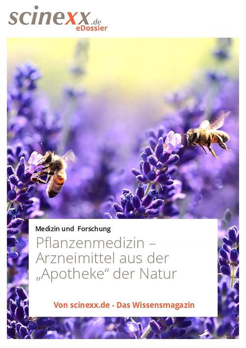 Cover of the book Pflanzenmedizin by Ina Berger, YOUPublish