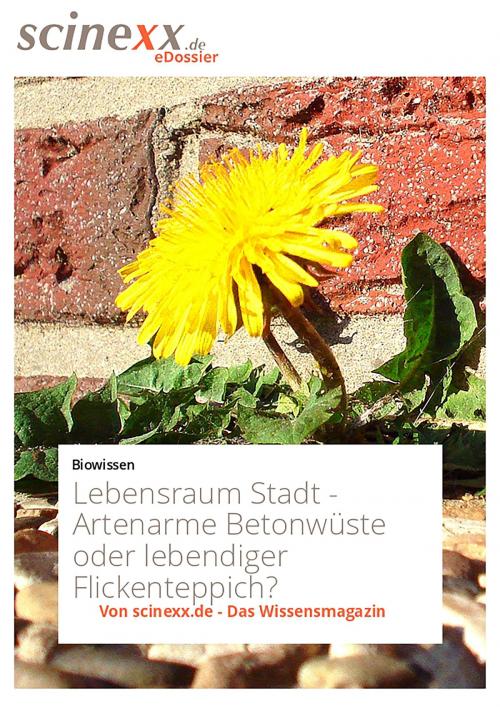 Cover of the book Lebensraum Stadt by Nadja Podbregar, YOUPublish