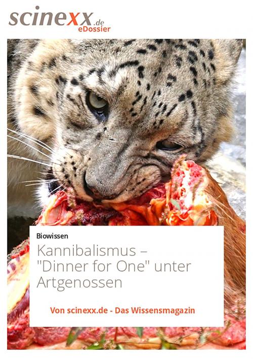 Cover of the book Kannibalismus by Dieter Lohmann, YOUPublish