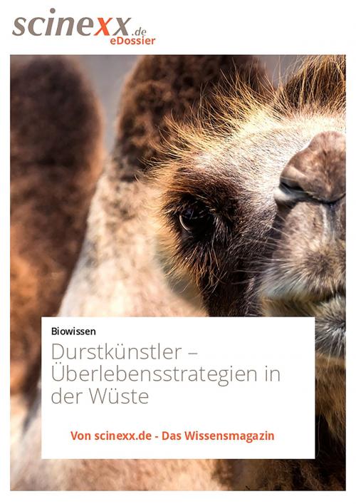 Cover of the book Durstkünstler by Dieter Lohmann, YOUPublish