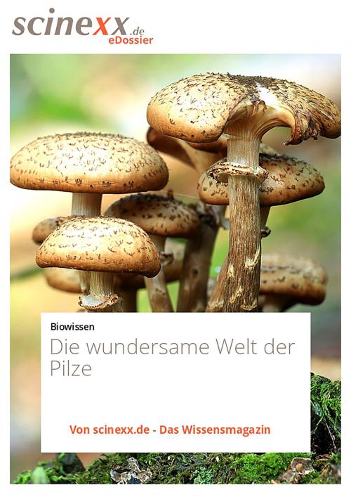 Cover of the book Die wundersame Welt der Pilze by Nadja Podbregar, YOUPublish