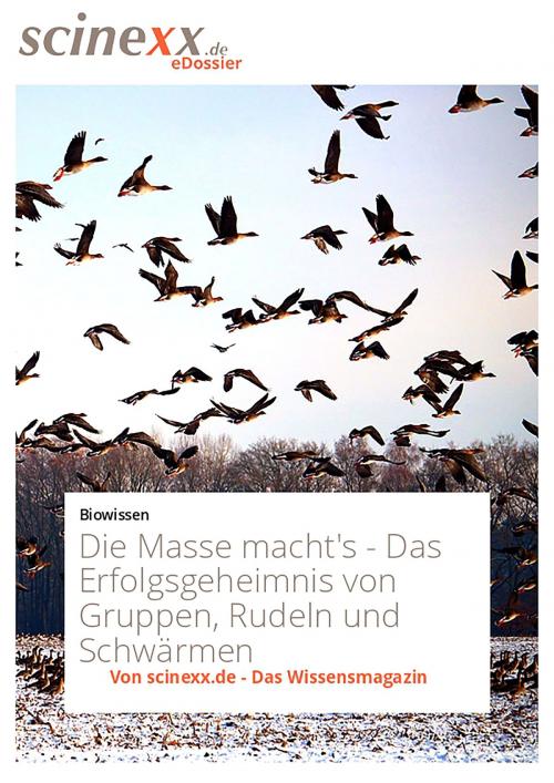 Cover of the book Die Masse macht's by Nadja Podbregar, YOUPublish
