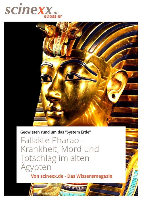 Cover of the book Fallakte Pharao by Dieter Lohmann, YOUPublish