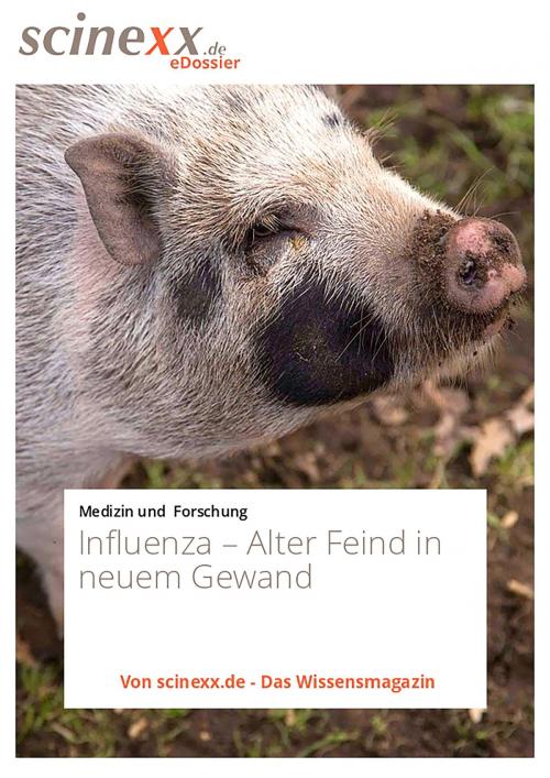 Cover of the book Influenza by Nadja Podbregar, YOUPublish