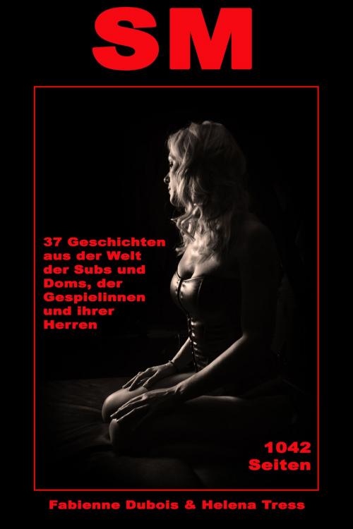 Cover of the book SM - 37 Geschichten aus der Welt der Subs und Doms, der Gespielinnen und ihrer Herren by Fabienne Dubois, Der Neue Morgen - UW