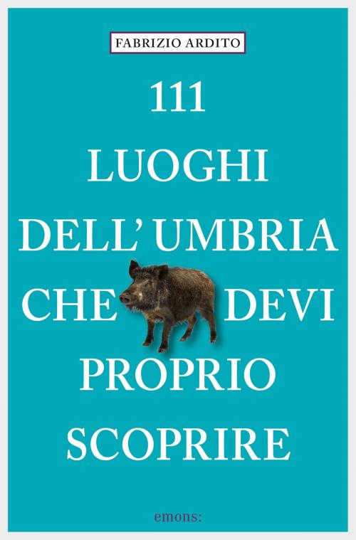 Cover of the book 111 Luoghi dell'Umbria che devi proprio scoprire by Fabrizio Ardito, Emons Verlag