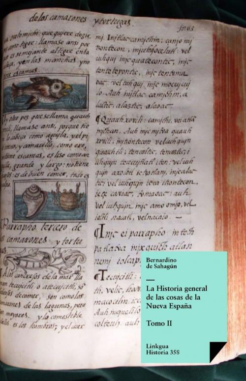 Cover of the book Historia general de las cosas de la Nueva España II by Bernardino de Sahagún, Red ediciones