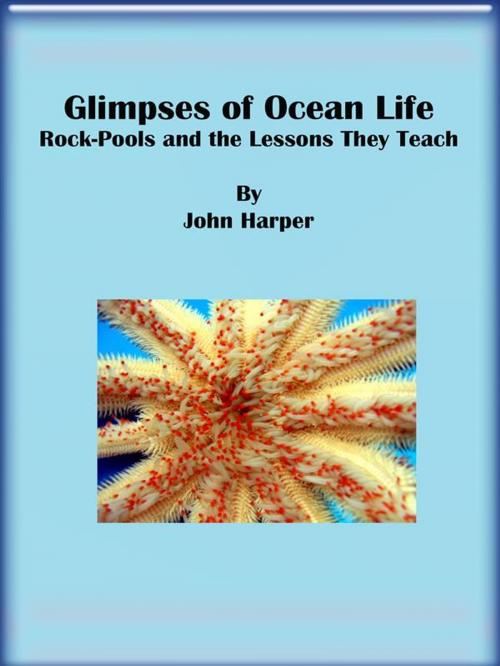 Cover of the book Glimpses of Ocean Life: Rock-Pools and the Lessons They Teach by John Harper, John Harper