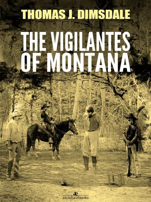 Cover of the book The Vigilantes of Montana by Thomas Dimsdale, Thomas Dimsdale